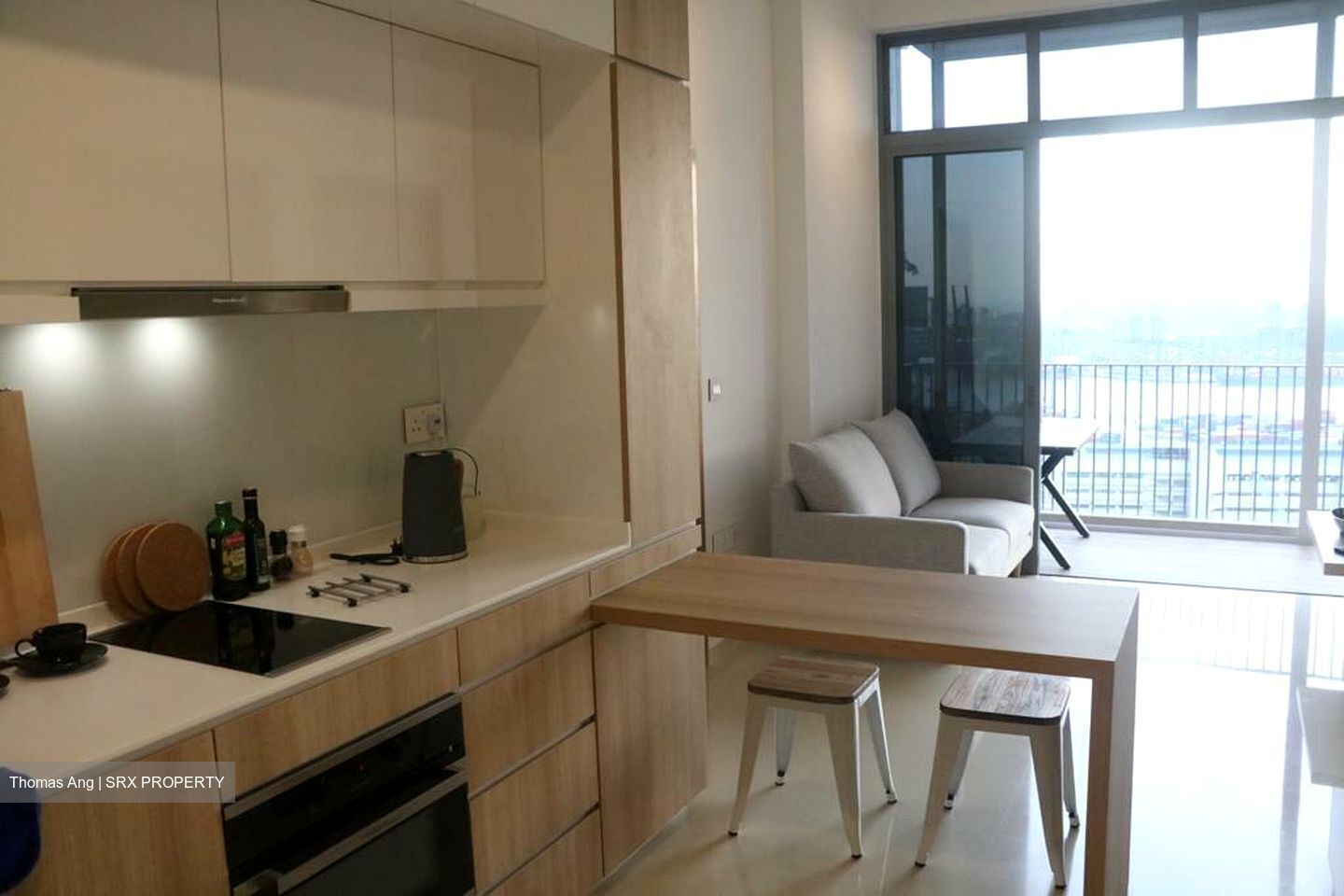 Spottiswoode Suites (D2), Apartment #445778901